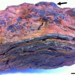 Oldest stromatolites of the Earth will help in the search for life on Mars