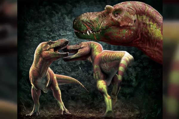 Paleontologists suggest Tyrannosaurus Rex was 70 bigger than thought