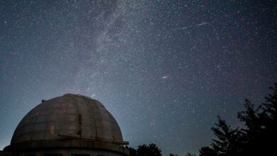 Rare earth elements may be produced during neutron star mergers