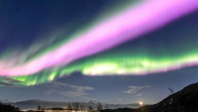 Rare pink auroras spotted in Earths atmosphere 1