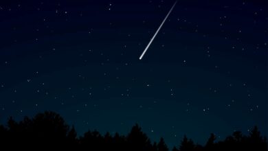 Taurid meteor shower to be seen this week