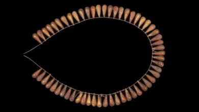3000 year old jewelry was found in Egypt