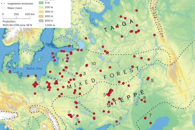 8 000 years ago pottery spread rapidly in Europe 2