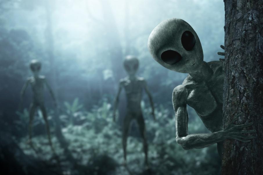 Aliens see no signs of intelligence on Earth