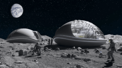 And apple trees will bloom on the moon NASA has chosen BioPods greenhouses for growing food on the Earths satellite 1