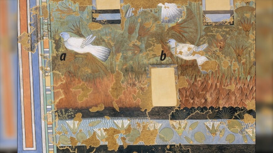 Archaeologists identify birds from ancient Egyptian fresco