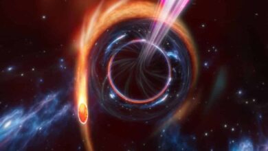 Astronomers have detected a relativistic jet from a star being torn apart by a black hole 1