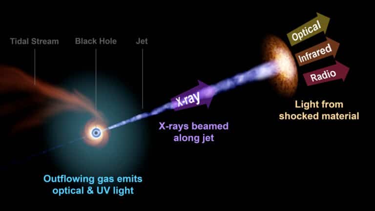 Astronomers have detected a relativistic jet from a star being torn apart by a black hole 2