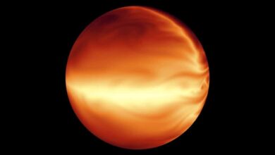Astronomers have discovered a hot Jupiter around a rapidly rotating star