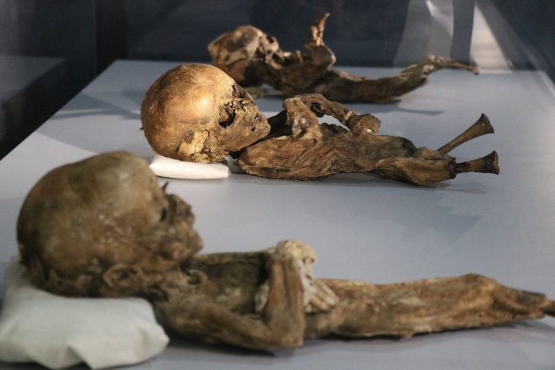Cats and Babies Thousand year old mummies in Aksaray Turkey 1