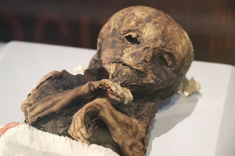 Cats and Babies Thousand year old mummies in Aksaray Turkey 2