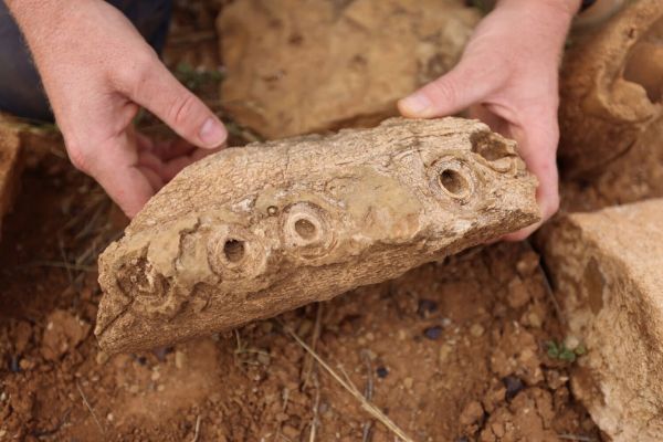 Complete plesiosaur skull and skeleton found in Australia 1