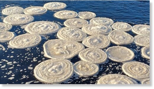 Rare ice pancakes formed on rivers in Scotland and England