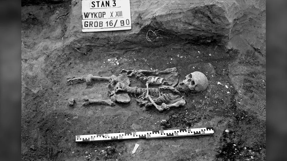 Strange dwarf skeleton found in Polish cemetery