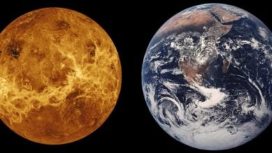 Astronomers discover key similarities between Venus and Earth 1