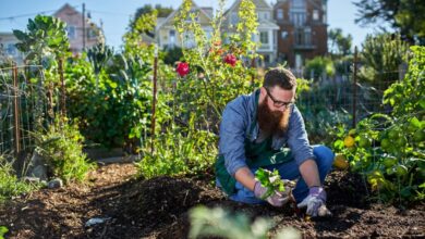 Gardening has been shown to reduce cancer risk