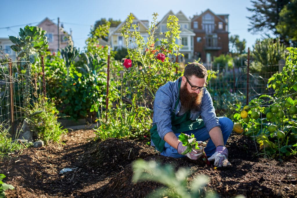 Gardening has been shown to reduce cancer risk
