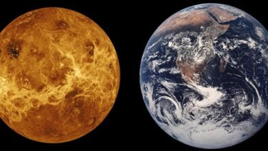 Geology of Venus turned out to be similar to Earth