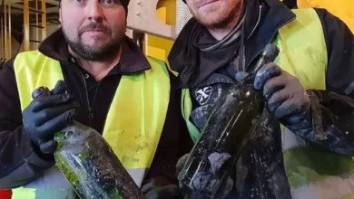 How divers lifted 100 year old bottles of alcohol from the bottom of the sea
