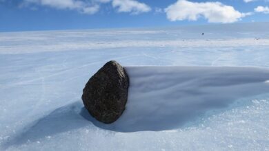 In Antarctica scientists have discovered a large meteorite