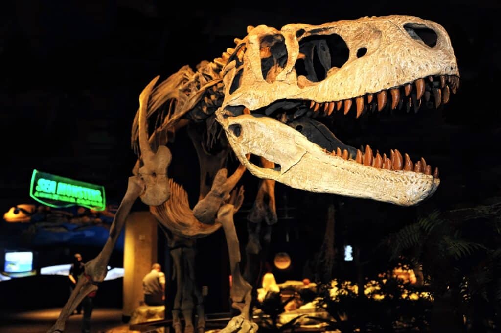 Intelligence of some dinosaurs could be comparable to primates