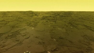 Most detailed image from the surface of Venus