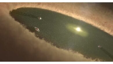 Mysterious giant planet disrupted the orbits of Jupiter Saturn Uranus and Neptune Planet X 1