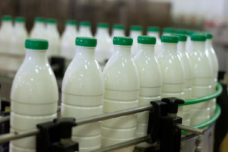 Packaging of milk affects its taste scientists say