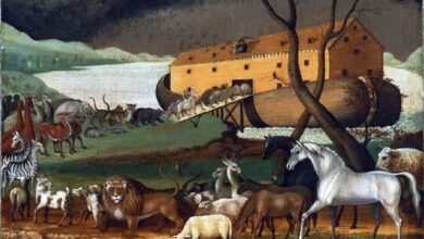 Possible remains of Noahs Ark found in Turkey