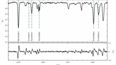 Study showed that HD 213258 is a rapidly oscillating magnetic Ap star