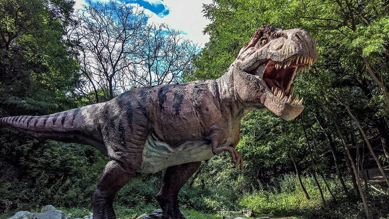 Tyrannosaurus rex may have been very smart