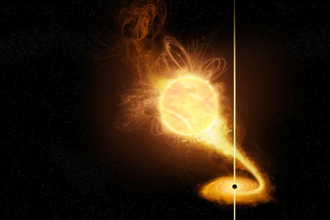 What happened to the star that fell into the black hole Astronomers were amazed