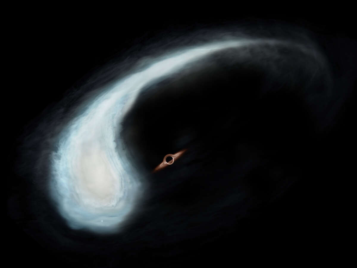 A tadpole like molecular cloud could orbit a black hole