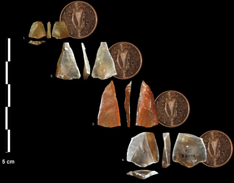 Anthropologists have found the oldest evidence of the use of bows and arrows in Europe 2