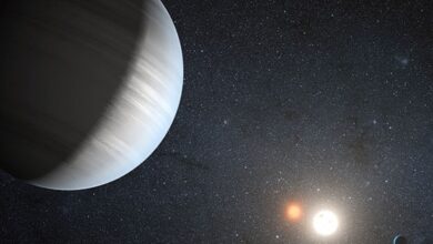 Astronomers have suggested that planets with two suns may be habitable