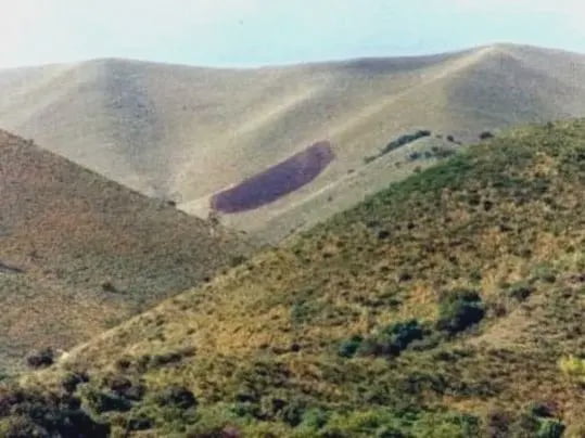 In 1986 in Argentina a UFO burned a hill sucked the insides of insects and took chlorophyll from a tree 2