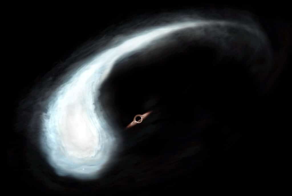 Rare medium mass black hole found in the Milky Way