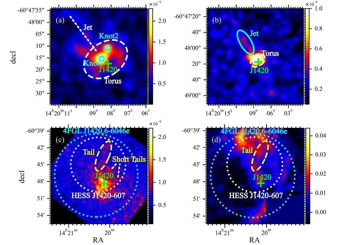 Scientists study the radio pulsar PSR J1420 6048 and its nebula