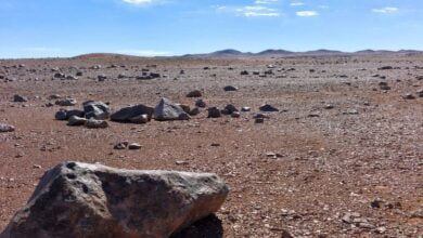 Unknown DNA found in Mars like Atacama Desert 1
