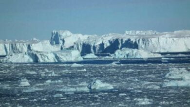 rate of melting of the foot of the glaciers of West Antarctica was unexpectedly slow