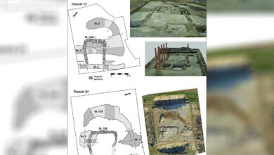7 000 year old Neolithic farm found in France 1
