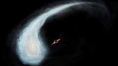A tadpole shaped cloud of gas revolves around a black hole