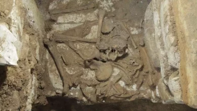 An unusual Mayan burial site was found in Mexico