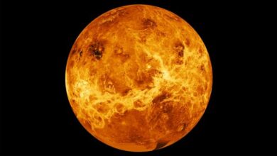 Astronomers have discovered signs of volcanic activity on Venus