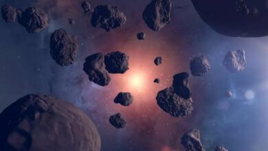 Found asteroids that could deliver water to Earth