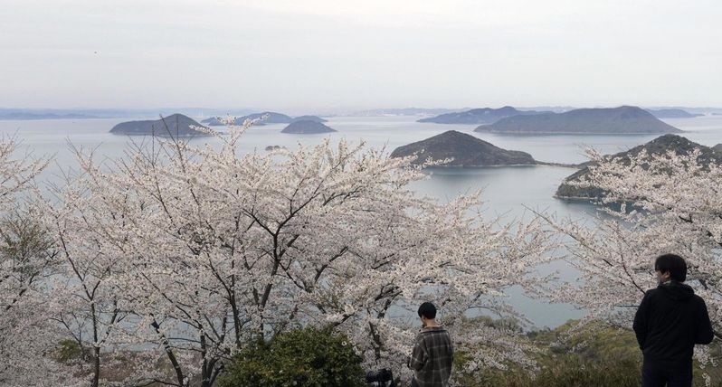 Japan finds 7 000 islands it didnt know existed