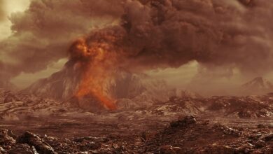 Scientists have discovered more than 85 000 volcanoes on Venus