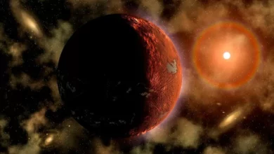 Scientists have said that Nibiru could destroy life on Earth