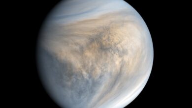 Venus once had oceans scientists say