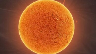 Astronomers have combined 90 000 photos of the Sun 1